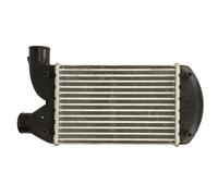 Intercooler THERMOTEC DAF006TT