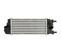 Intercooler THERMOTEC DAF016TT