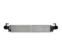 Intercooler THERMOTEC DAF019TT