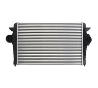 Intercooler Thermotec DAG023TT para VW Sharan (7M8, 7M9, 7M6)