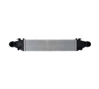 Intercooler THERMOTEC DAM009TT