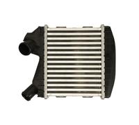 Intercooler THERMOTEC DAM031TT