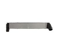 Intercooler THERMOTEC DAR022TT