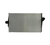 Intercooler THERMOTEC DAV003TT