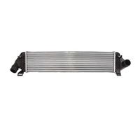 Intercooler Aluminio DAV004TT THERMOTEC para VOLVO C30 S40 II V50 V40 Hatchback