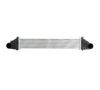 Intercooler THERMOTEC DAV011TT