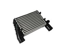Intercooler THERMOTEC DAW002TT