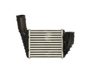 Intercooler THERMOTEC DAW018TT