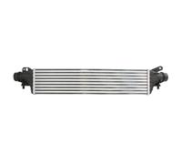 Radiador de aire de admisión THERMOTEC DAX037TT para OPEL CORSA E (X15) 1 2014-