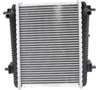 Intercoolers Para BMW Para M3 G80 Para M3 Para M4 G82 G83 2021 2022 2023 2024 1711 8095 285 17118095285 Radiador Auxiliar Delantero(With black frame)