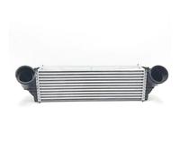 Intercoolers Para BMW Para X5 E70 F15 F85 Para X6 E71 F16 F86 M57 N52 N54 17517533475 17517809321 17518570448 8ML376746261 Intercooler