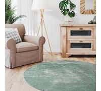 Interiyou Alfombra Salon Pelo Corto Fargo - 160x160 cm Redondo Verde - Felpa sintética esponjosa - Lavable y Antideslizante - Textura Suave Corta