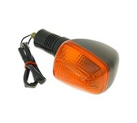 Intermitente Delantero, Izquierda/Trasera Derecha para Suzuki Epicuro, GSX