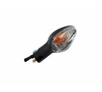 Intermitente Delantero Izquierdo