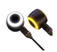 Intermitente LED para Motocicleta, Luz Eléctrica Automotriz De 12 V, 300 Lúmenes, Blanca Brillante, Efecto Flash