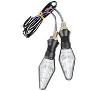 Intermitentes Traseros para Motocicleta para Zontes ZT125-G1 ZT125U ZT G1 125 U ZT310X 310R. Luces Indicadoras De Giro. Indicadores De Motocicleta(Color 2)