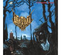 Internal Decay A Forgotten Dream (Vinyl) (Importación USA)