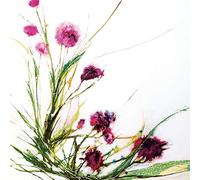 International Graphics - Cuadro terminado - Jan, Griggs - ''Flowers in the Wind on White''- 30 x 30 cm - Impresión directa sobre vidrio acrílico
