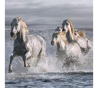 International Graphics - Cuadro terminado - Jorge, Llovet - ''Horses Running at the Beach''- 30 x 30 cm - Impresión directa sobre vidrio acrílico