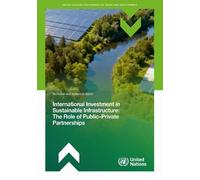 International Investment in Sustainable Infrastructure: the Role of Public-Private Partnerships
