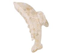 Internet Celebrity - Pinza para el pelo con forma de delfín para tomar fotos para mujer, horquillas largas