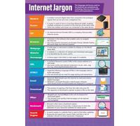 Internet Safety and Terms Poster Digital Literacy Classroom Wall Art for Middle School High School Cybersecurity Education(Unframed,16x24inch(40x60cm))