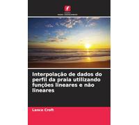 Interpolação de dados do perfil da praia utilizando funções lineares e não lineares