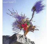 Interpose+ - Memories In The Wind