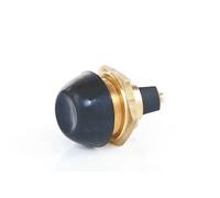 Interruptor 0 340 000 001 BOSCH