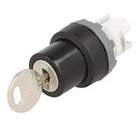 Interruptor 1SFA611281R1001: interruptor giratorio con llave varilla de 22 mm...