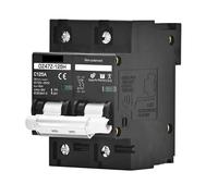 Interruptor Automático Disyuntor de voltaje 2P MCB 100A 125A 150A DC100V 150V 250V 500V 1000V Curva C Panel solar Batería Protección contra cortocircuitos(2P DC100-250V,125A)