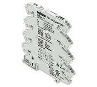 Interruptor Automático Electrónico De 1 Polo 35Mm Riel Din 24V Dc 2A 6000Uf WAGO