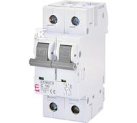 Interruptor de sobrecorriente ETIMAT 6 2p C10 002143514