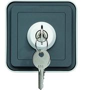 Interruptor con llaveMonobloc de superficie estanco HAGER Cubyko WNC035 2 posiciones