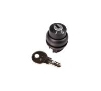 Interruptor de accionamiento 2 posiciones con llave sin 216889