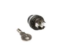 Interruptor de accionamiento 3 velocidades con llave sin 216900