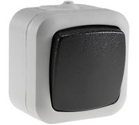 Interruptor de Cambio a Prueba de Humedad, IP44 250 V~/10 A