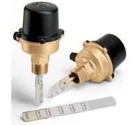 Interruptor de caudal 1 para agua Caleffi 626600