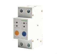 Interruptor de circuito inteligente 2P 63A para ewelink APP interruptor remoto montado en riel DIN con tres modos de temporizador y estado del dispositivo en tiempo real (25 A)