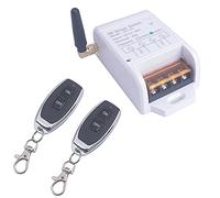 Interruptor de control remoto de 12V 24V 36V 48V, interruptor inalámbrico de 12V a 48V para bomba de agua, puerta de garaje de sistemas de seguridad, luces, receptor del transmiso (2* Control 433Mhz)