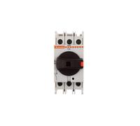 Interruptor de desconexión aislante 3P 32A GA interruptor GA032A