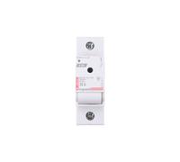 Interruptor de desconexión de fusibles 1P 20A D02 R301 606605