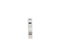 Interruptor de desconexión de módulo 32A 2P iSW A9S60232 Acti9