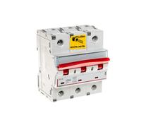 Interruptor de desconexión modular 100A 3P 25kA FRX403 406538