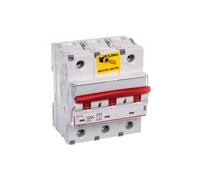 Interruptor de desconexión modular 125A 3P 25kA FRX403 406539