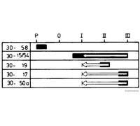Interruptor de encendido/arranque HERTH+BUSS ELPARTS 70596034