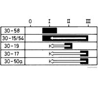 Interruptor de encendido/arranque HERTH+BUSS ELPARTS 70596036