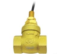 Interruptor de flujo de cobre SEN-DB15 con DC 175 V/AC 125 V Voltaje máximo Clasificación G1/2 Compatibilidad de rosca