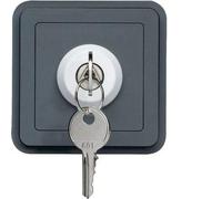 Interruptor de llave, 2 posiciones, gris