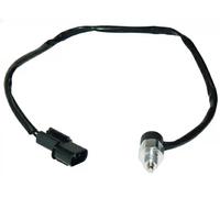 Interruptor de luz de marcha atrás 0912042 METZGER para HYUNDAI ATOS